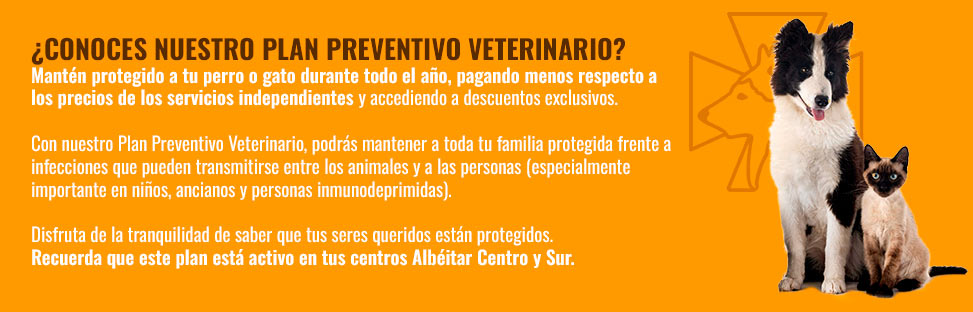Plan cuidados